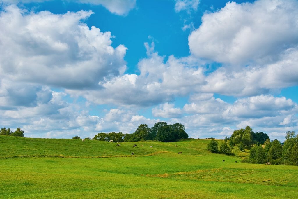 We Buy Land Fast in YORK