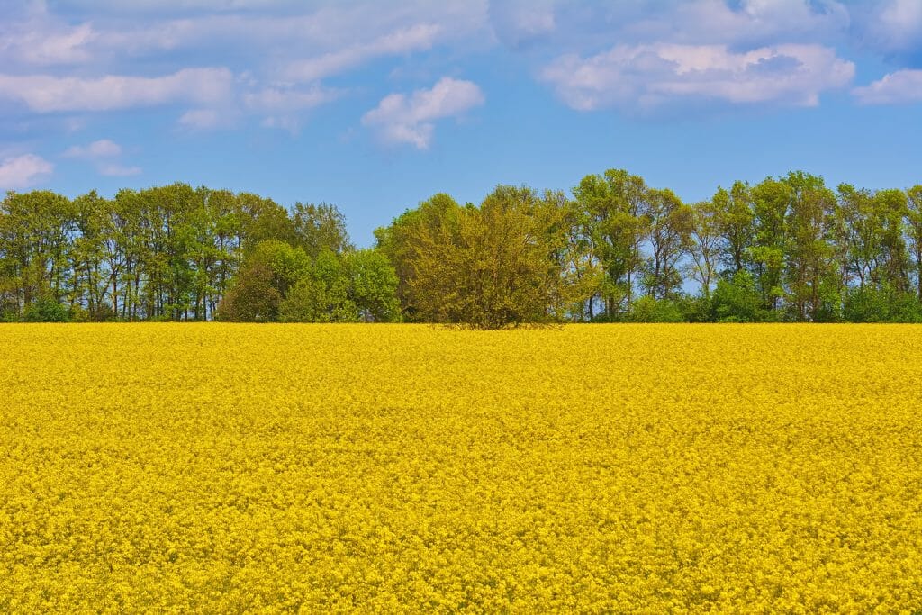 We Buy Land Fast in Brough