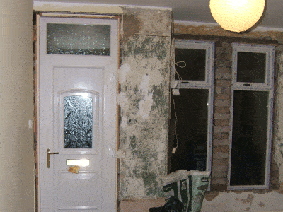 Windows Beeches Before